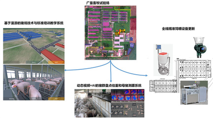 打造生猪全产业链数字化技术产品创新综合体