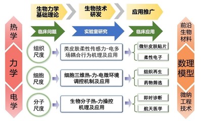 西安交通大学“仿生工程与生物力学研究所(BEBC)”诚聘英才