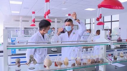 潍城:做强科技创新的"人才引擎"