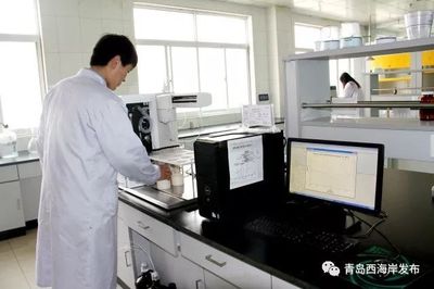 新区这家企业获批2017年度国家地方联合工程研究中心