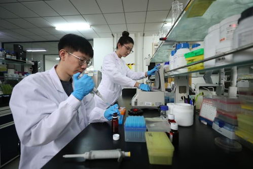 探访北方粳稻育种栽培技术国家地方联合工程实验室 辽宁