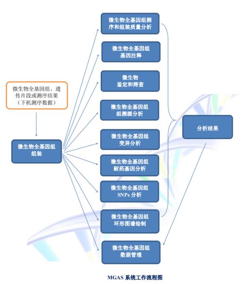 聚焦传染病防控,硕世邀您共襄第14届传染病防控基础研究与技术应用学术交流会