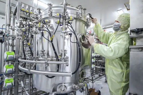 普通人何时能用上疫苗 4个疫苗在ⅲ期临床试验中取得良好效果