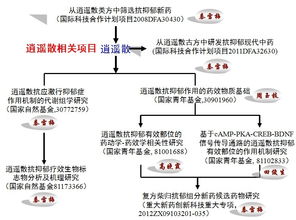 欢迎登录山西大学中医药现代研究中心网站