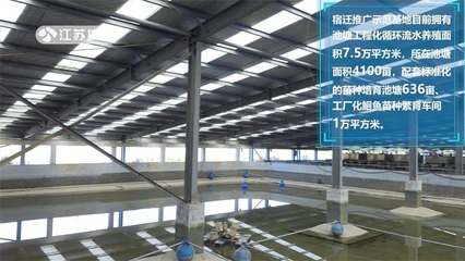 江苏省淡水水产研究所 全力提升'江丰1号'良种覆盖率