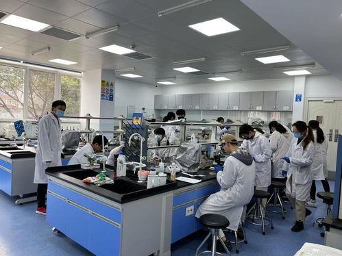 禧宝制研联手川大食品研究院 以科学力量诠释米其林味觉的标准化之路